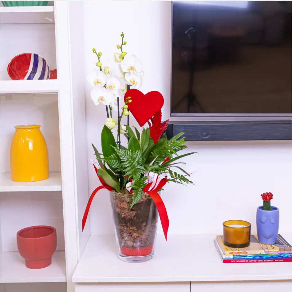 Jarrón de Cristal con Orquidea Phalaenopsis Blanca: Un Toque Sofisticado para San Valentín.SV7