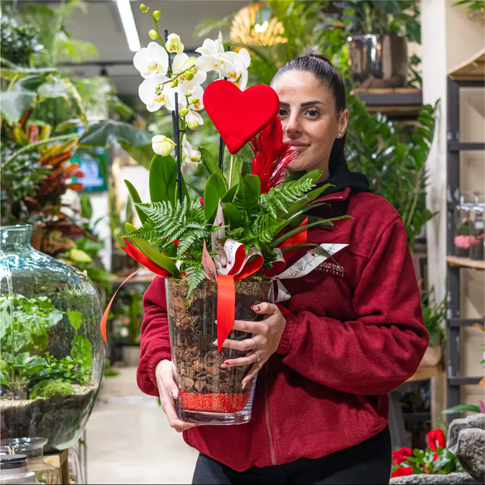 Jarrón de Cristal con Orquidea Phalaenopsis Blanca: Un Toque Sofisticado para San Valentín.SV7