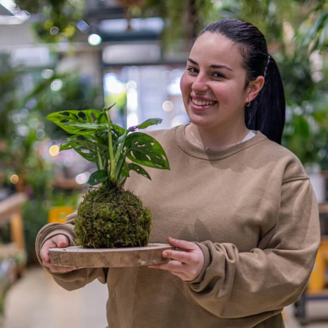 Kokedama Andsansonii