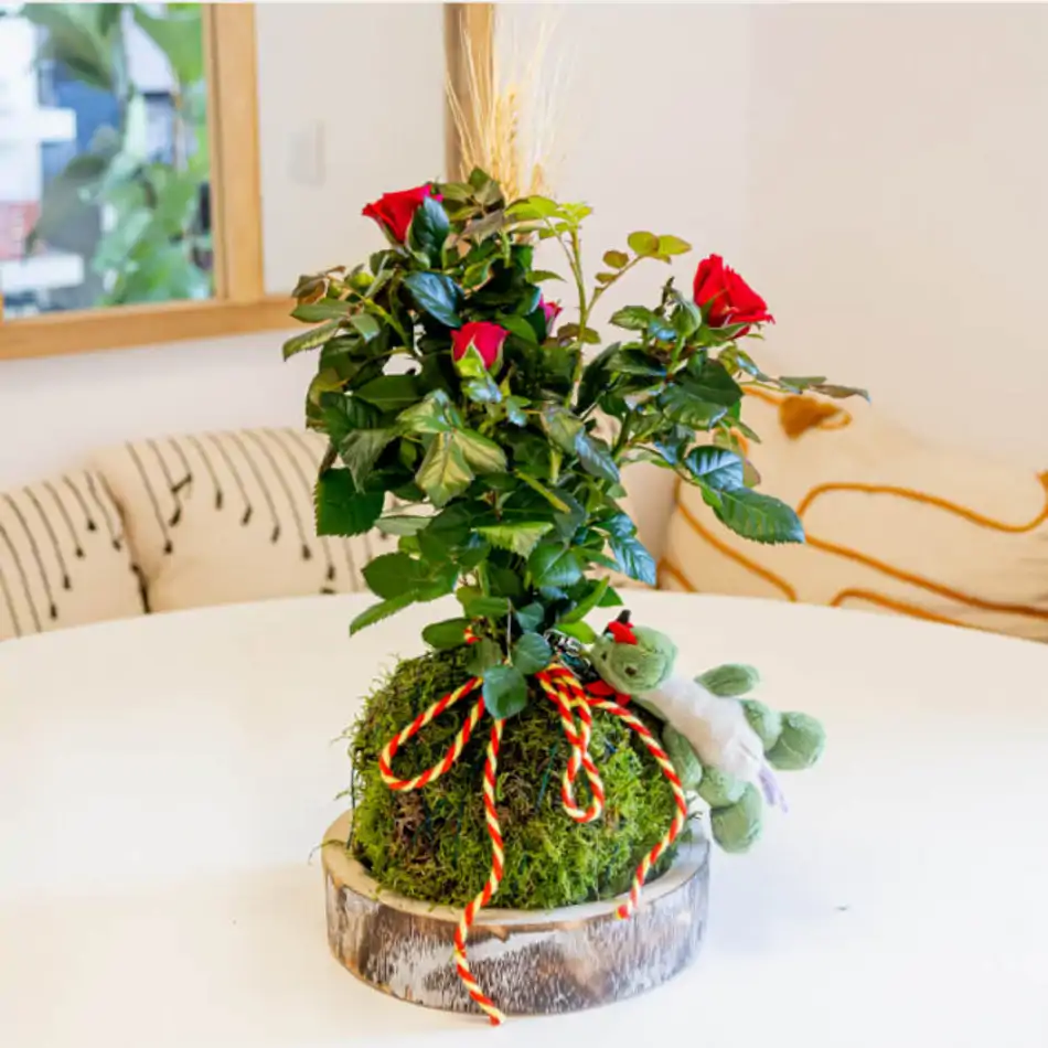 Kokedama Sant Jordi