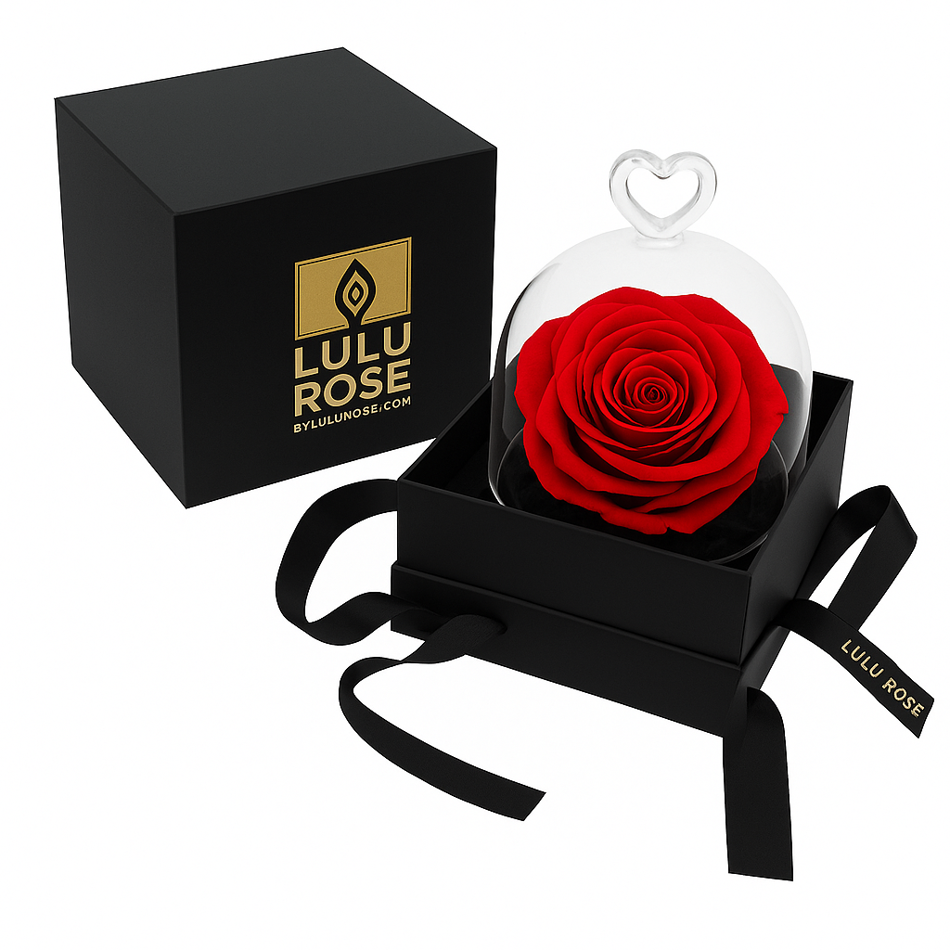 Mini cúpula de rosa Liofilitzada Deluxe