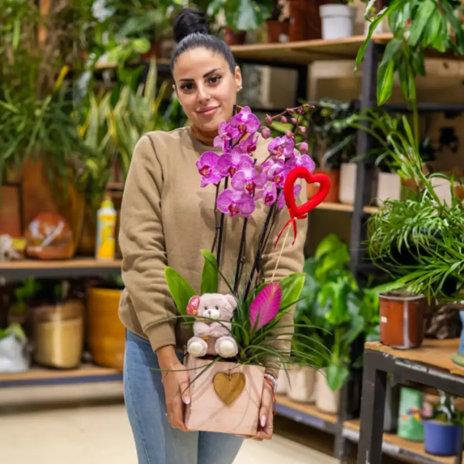 Phalaenopsis en Cajita de Madera con Peluche Mimoso