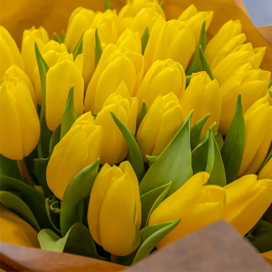 Ram de 30 tulipans