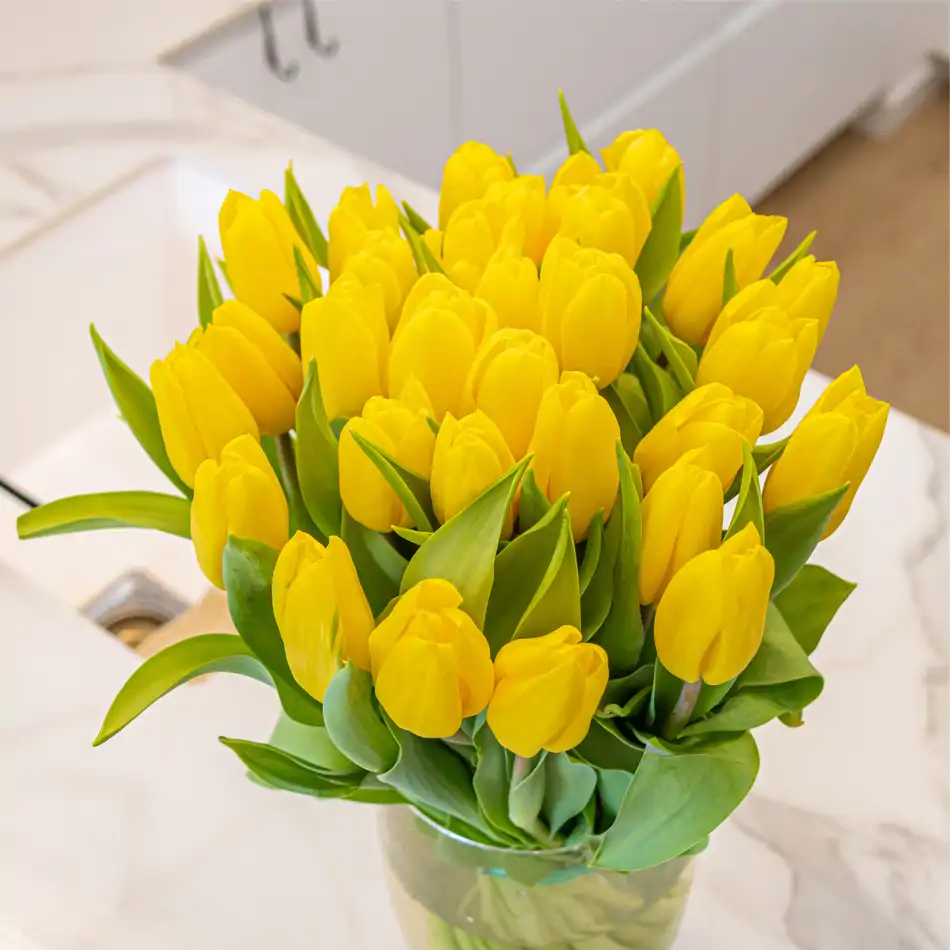 Ram de 30 tulipans