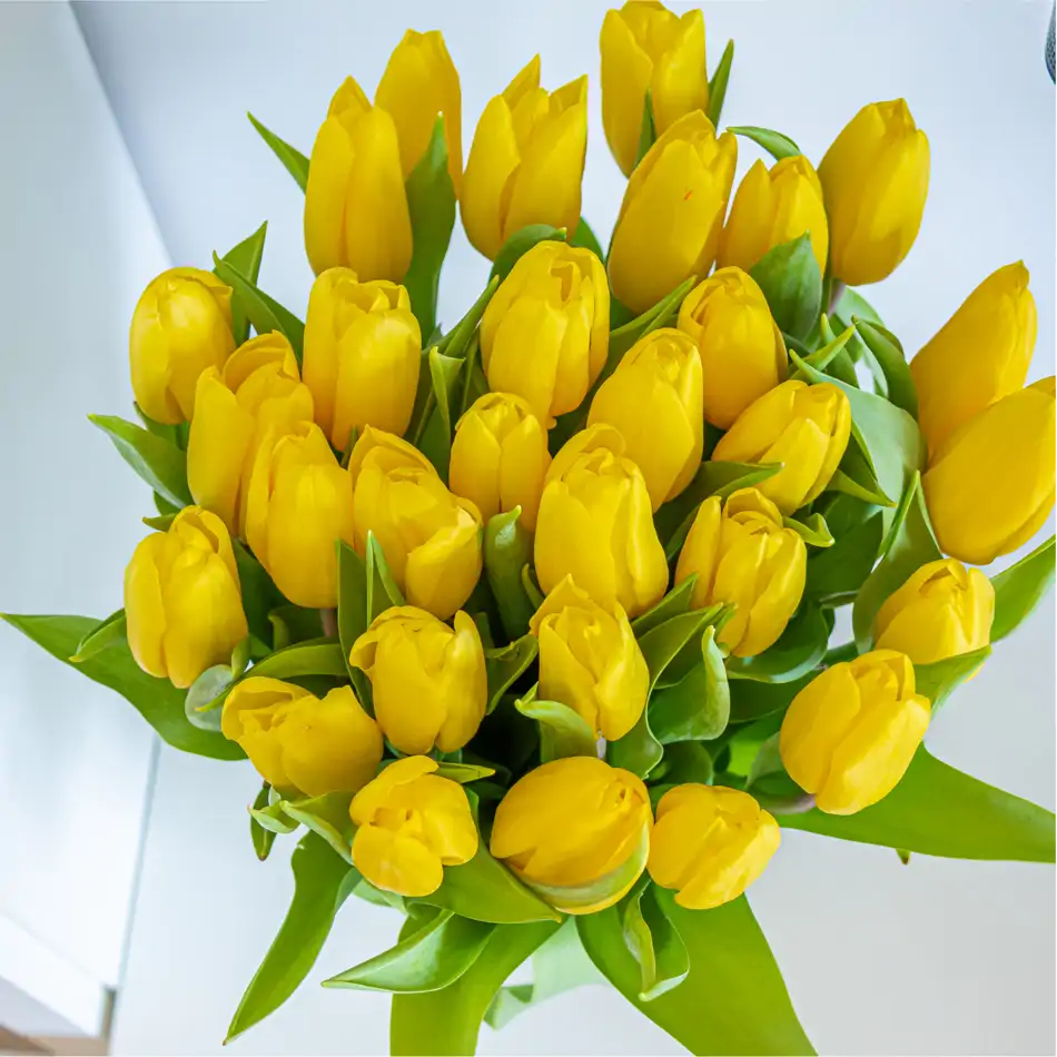 Ram de 30 tulipans