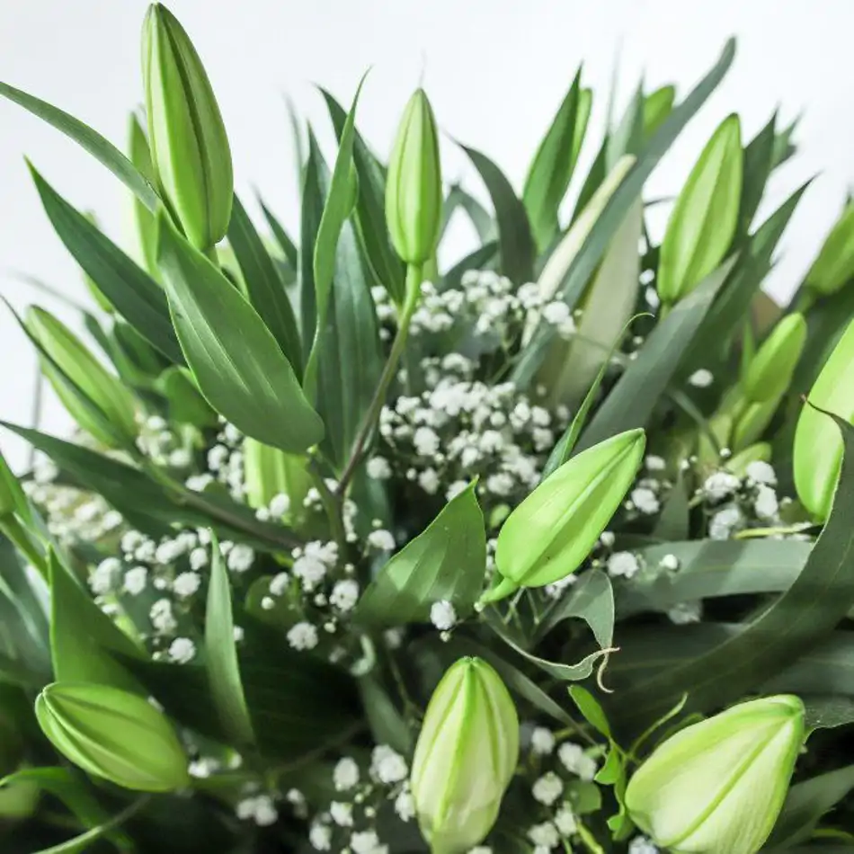 Ramo de lilium blanco