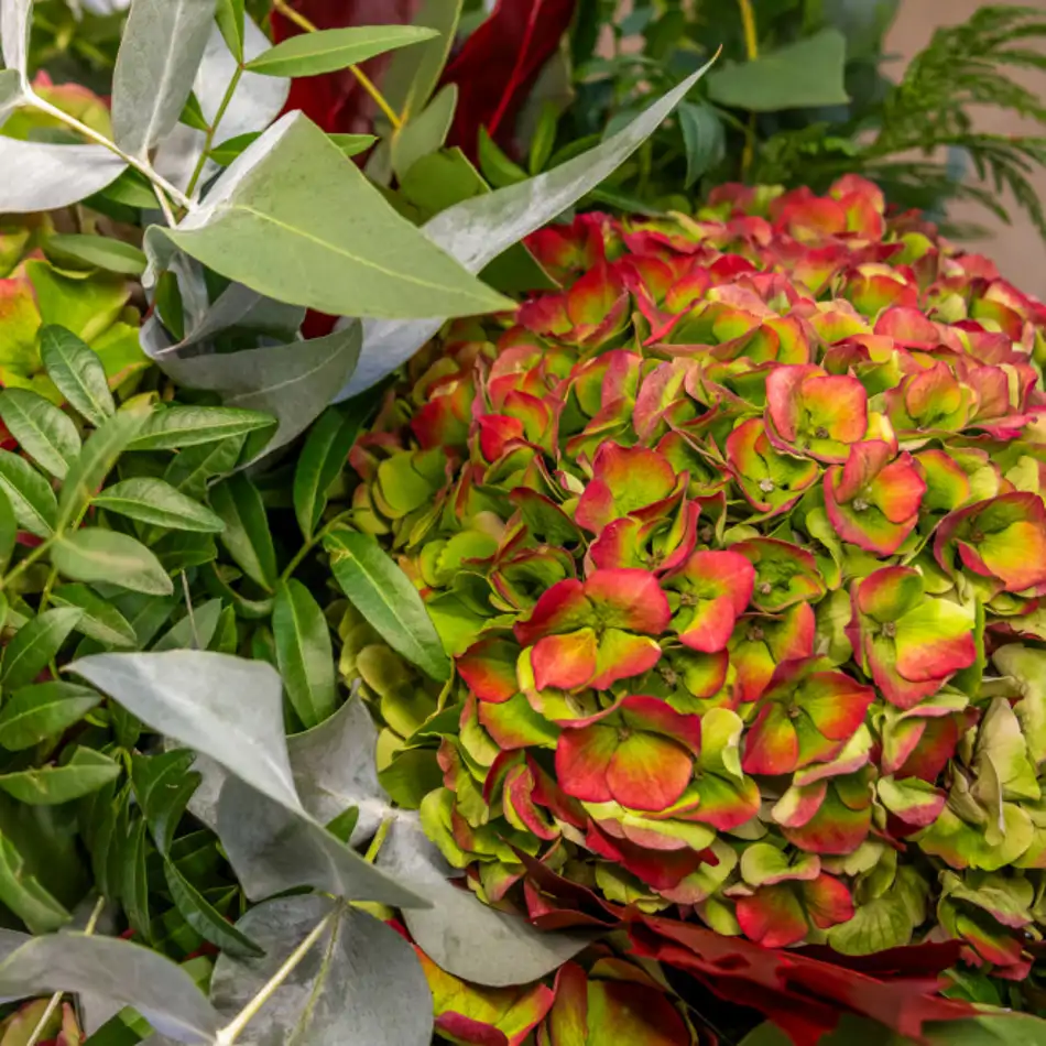 Ramo hortensias otoñal