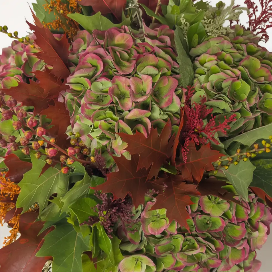 Ramo hortènsies de tardor