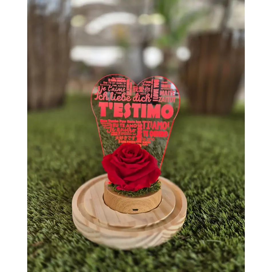 Rosa Eterna en Cúpula con Luz LED T' estimo Regalo Romántico para Sant Jordi