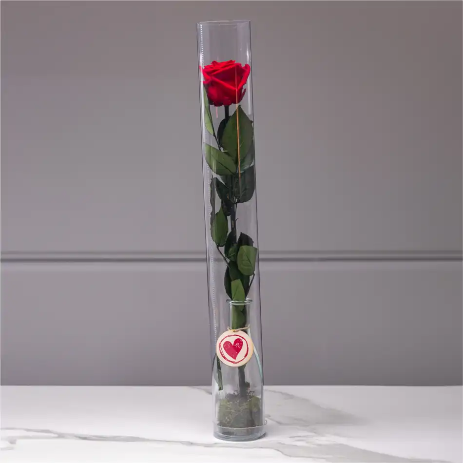 Rosa Eterna Roja en Jarrón de Cristal – Regalo Romántico para San Valentín.Sv15