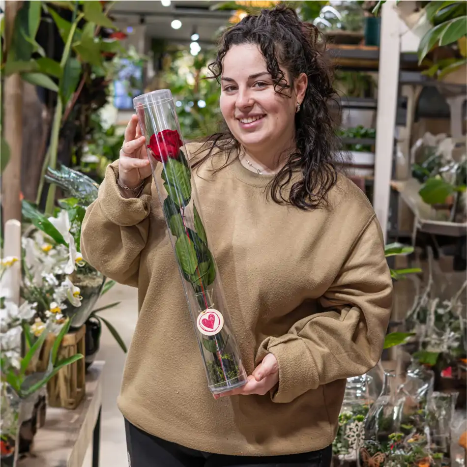 Rosa Eterna Roja en Jarrón de Cristal – Regalo Romántico para San Valentín.Sv15