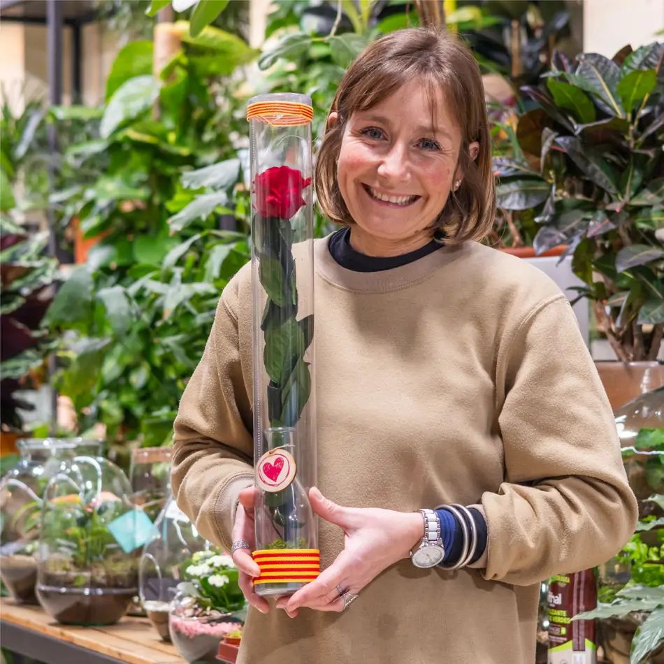 Ampolla de vidre amb rosa eterna – Regal Romàntic per a Sant Jordi