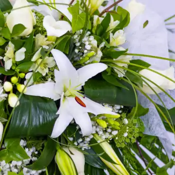 Comprar Cojín aire romántico flor de temporada tonos blancos en Barcelona