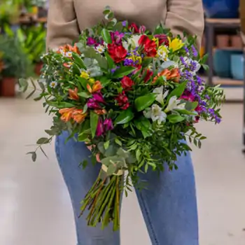 Comprar Ramo de alstromelia variada en Barcelona