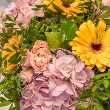 Comprar Ramo hortensias Brisa Delicada en Barcelona