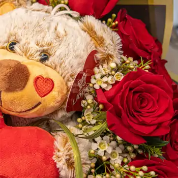 Comprar Ramo de rosas con peluche en Barcelona