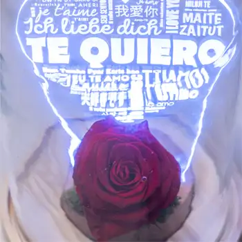 Comprar Rosa Eterna dins Cúpula amb Llum LED Te Quiero – Regal Romàntic per a Sant Valentí.Sv13 a Barcelona