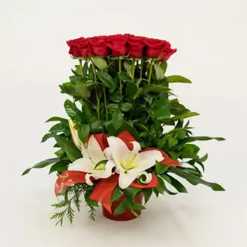 Comprar Vertical de 20 roses a Barcelona