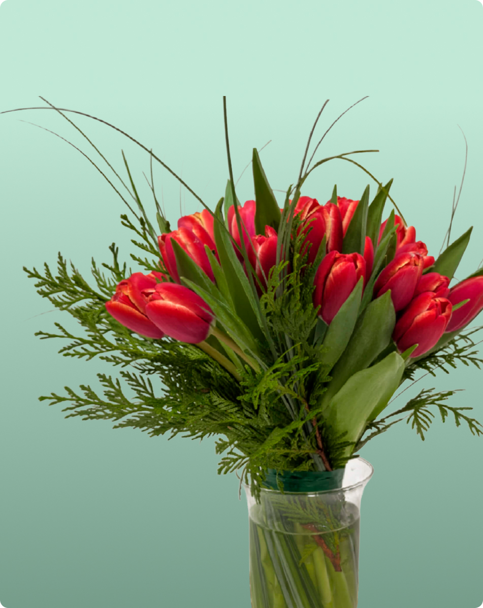 Minigerro de tulipes