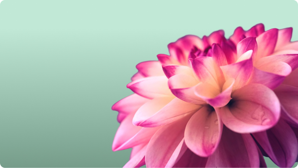 Bloom Session