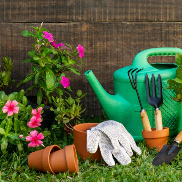 Guía De Jardineria Para Principiantes Flores Navarro