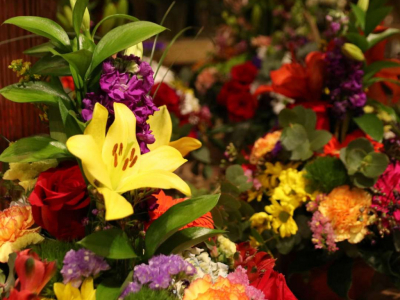 Quines són les flors més típiques del mes de Maig?