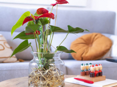 Plantas con flor que aguantan el verano