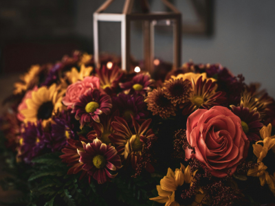 Flores de Temporada para Decorar el Hogar en Otoño