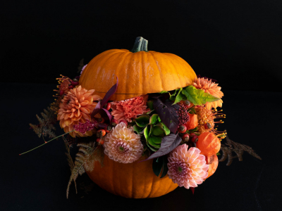 Flores y plantas para Halloween