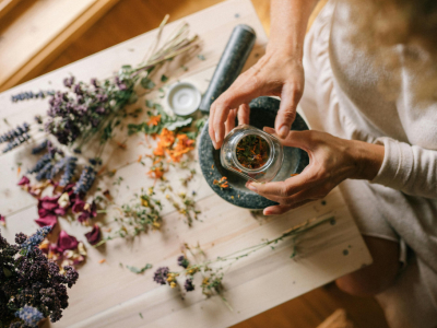 Plantas de interior con Propiedades Medicianales