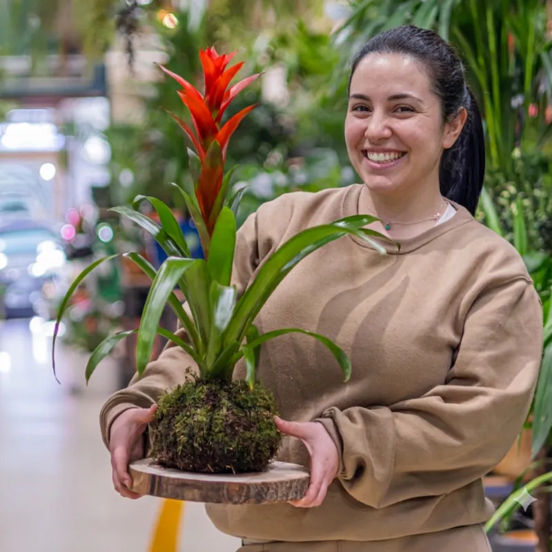 Kokedama con guzmania roja sobre un plato de madera