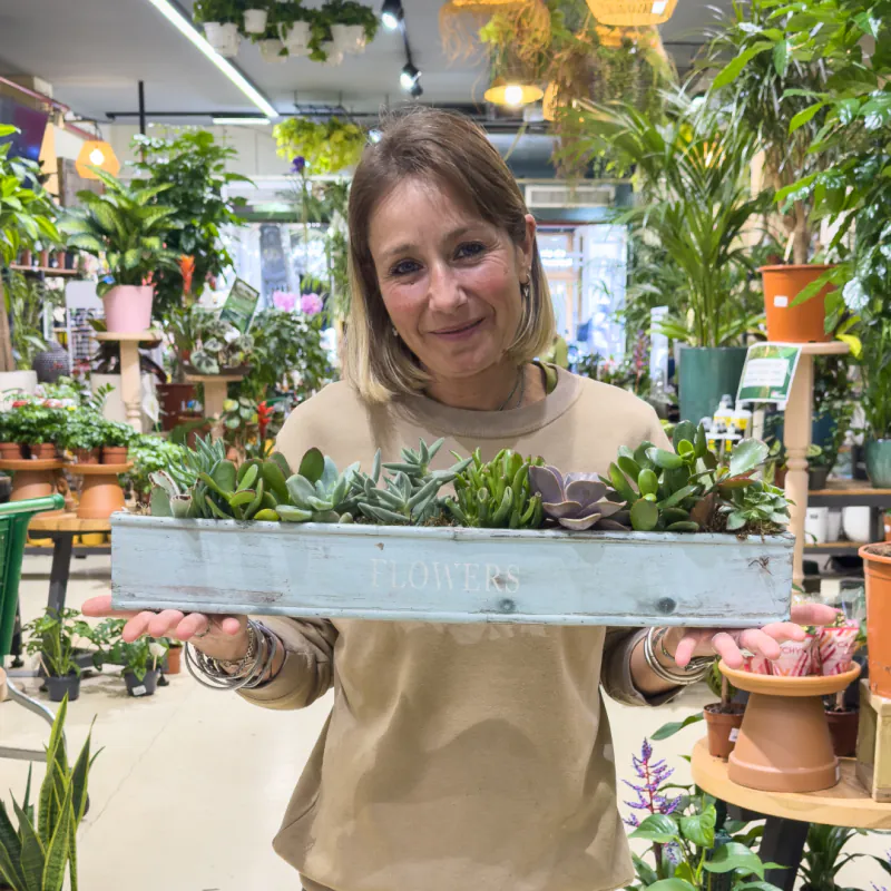 Jardinera de madera plantada con crasas y suculentas